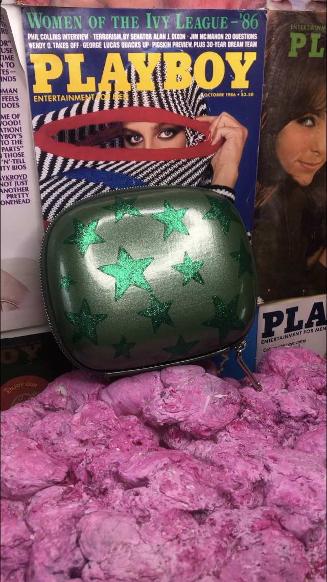 “A-List” Makeup case/clutch