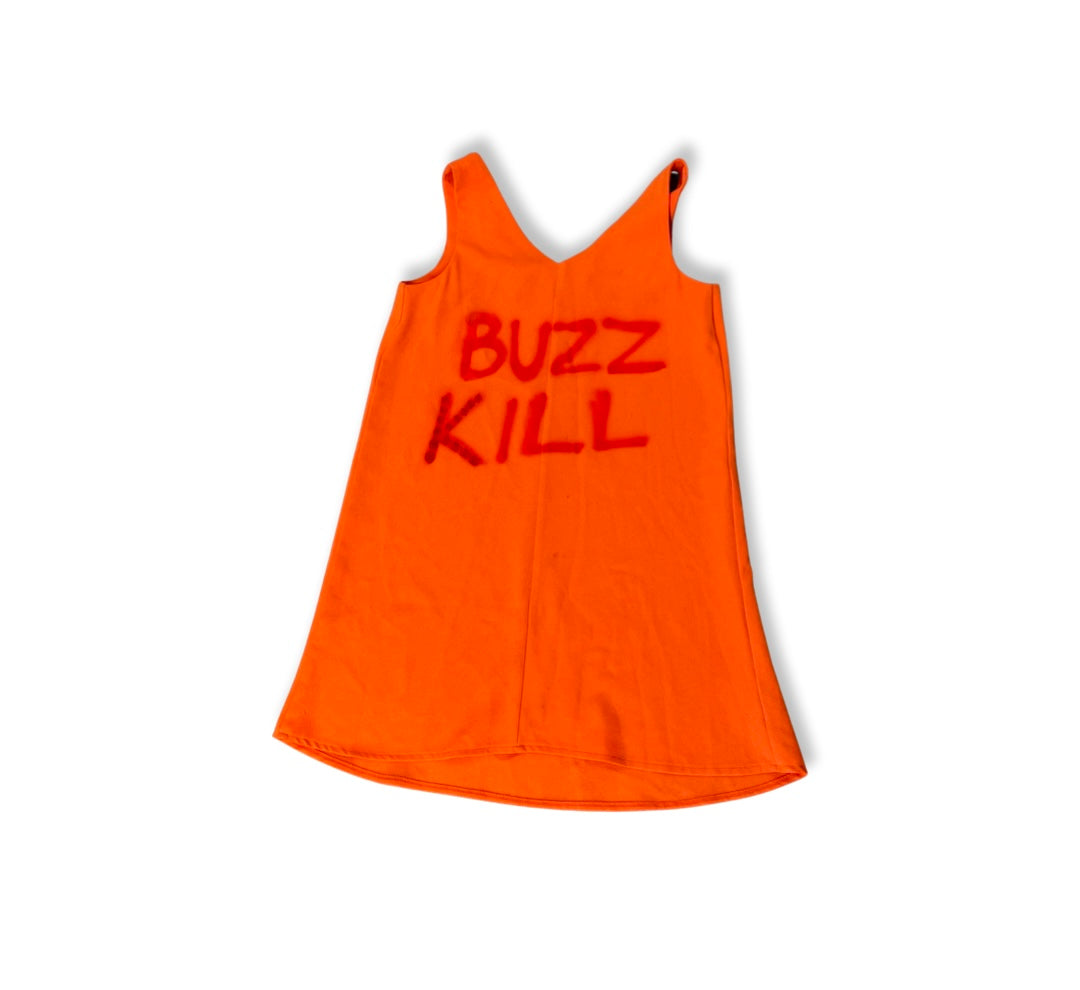 Buzz Kill dress